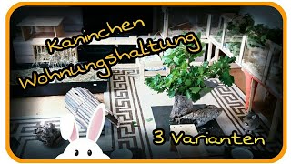 🐇 Kaninchen Wohnungshaltung 🏡  Gehege  Zimmer Wohnung [upl. by Jedidiah]