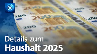 Etatentwurf für 2025 sieht Neuverschuldung vor [upl. by Nolyad]