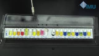 Biochemical Identification of Bacteria Day 2 [upl. by Comfort882]