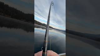 Bobber Pike Fishing  Deadbait [upl. by Ardnua412]