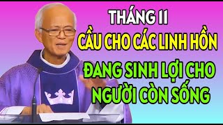 CẦU CHO CÁC LINH HỒN CHÍNH LÀ ĐANG SINH LỢI CHO NGƯỜI CÒN SỐNG  CHA PHẠM QUANG HỒNG GIẢNG MỚI NHẤT [upl. by Chute121]