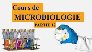 Cours de microbiologie partie 12 les plasmides  conjugaison bactérienne  spores [upl. by Kennie]