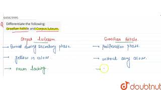 Differentiate the following Graafian follicle and Corpus luteum  CLASS 12  HUMAN REPRODUCTIO [upl. by Tiertza75]