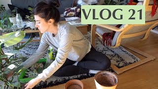 Potager urbain rempotage boutures amp recette  VLOG 21 [upl. by Nilyarg]