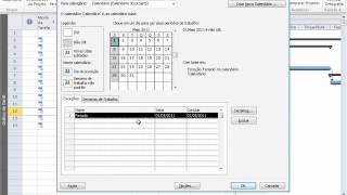 Project 2010  Calendario  Atribuindo Feriados [upl. by Emmi]