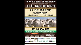 LEILÃO SINDICATO RURAL DE PORANGATU 27032024 [upl. by Aleihs710]