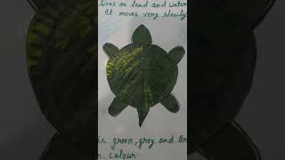 Leave uses project work craft ideas gyan reels shortvideo [upl. by Longwood282]