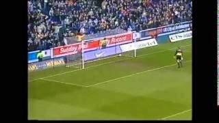 Stephane Guivarch best goals 2 [upl. by Gesner]