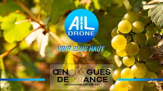 OENOLOGUES DE FRANCE FILM PROMOTIONNEL DRONE [upl. by Raoul]