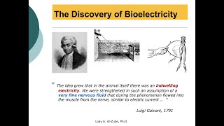 How Luigi Galvani Discovered Biopotentials Vitalism or Mechanism BME320 [upl. by Jemima]