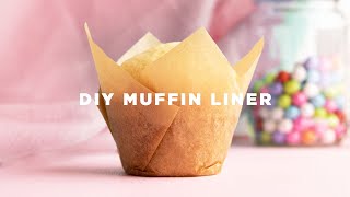 How to Make Cupcake Liners [upl. by Marilyn]