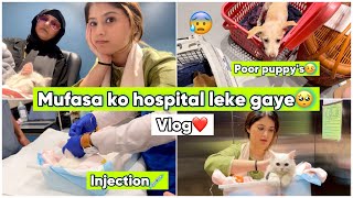 Mufasa ko hospital le gaye🥺🏥  Vlog  Arishfa khan [upl. by Jania]