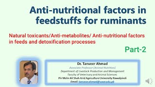 Anti Nutritional Factors in Feedstuffs Part2 Natural toxicants amp detoxification processes [upl. by Geldens]