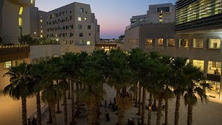 NYU Abu Dhabi Campus Tour [upl. by Airotkciv465]