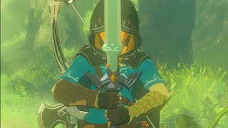 THE LEGEND OF ZELDA BREATH OF THE WILD  Como conseguir la Espada Maestra [upl. by Nnoved]