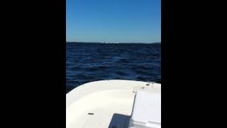 Carolina Skiff 218 DLV Rough Bay water [upl. by Kelton]