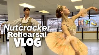 NUTCRACKER Rehearsals with 5 Sisters from the sugar plum fairy to snow queen🩰 [upl. by Kurt403]