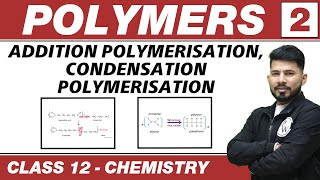 Polymers 02  Addition Polymerisation amp Condensation Polymerisation  Class 12 NCERT [upl. by Nnailuj]