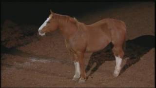 Beautiful tribute to bucking horses at RodeoHouston [upl. by Mallon]