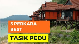 5 PERKARA BEST DI TASIK PEDU KEDAH [upl. by Selby]