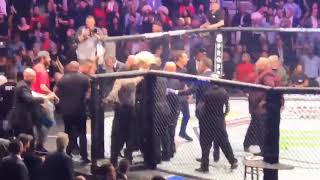 UFC 229 BEST ANGLE ON CAGE BRAWL 😱 Conor vs Khabib [upl. by Esdnil]