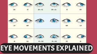 EYE MOVEMENTS EXPLAINED  Ductions versions vergence six cardinal gaze positions [upl. by Nameloc]