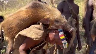 Hazbe TRIBE Expert Shares Top Hunting Secrets [upl. by Nyrehtak883]