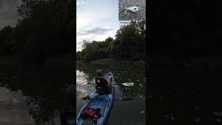 Smallmouth Bass on Crooked Creek  Kayak Fishing  Bonafide RVR 119  Nature [upl. by Janet572]