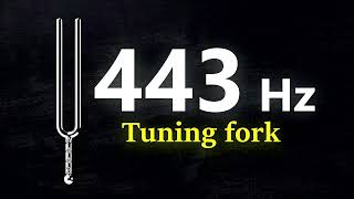 443 Hz  Tuning Fork A443 [upl. by Enomor344]