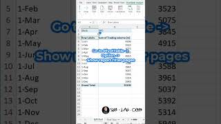 Excel PivotTable  Split labels into worksheets [upl. by Ebanreb863]