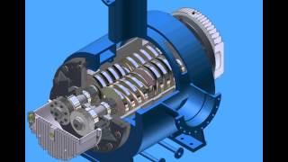 Twin Screw Pump Operation  Cutaway [upl. by Nahsar49]