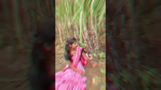 ♥️🥰🥰🥰✌️rupali avinash shortvideos [upl. by Casi]