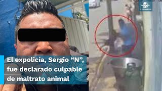 Declaran culpable a Sergio “N” quien arrojó a quotScoobyquot en cazo con aceite hirviendo [upl. by Ailam666]