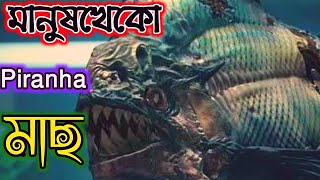 মানুষ যখন মাছের খাদ্যে পরিণত হচ্ছিল  Piranha Fish Movie Explanation in Bangla  Movie Matrix 20 [upl. by Oletha660]