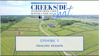 CREEKSIDE CHAT  EPISODE 3  FOALING SEASON [upl. by Litta]