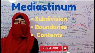 Mediastinum anatomy  subdivision  boundaries  contents  thorax anatomy ayesha medical education [upl. by Arvin267]