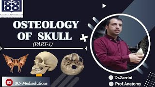 OSTEOLOGY  1 HEAD AND NECK Dr Zarini TUMS iran [upl. by Lyrrad]