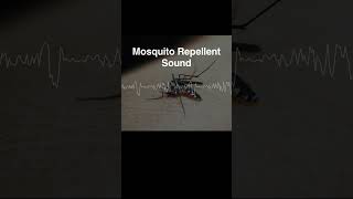 Mosquito Repellent Sound 17KHzRepelling dengue fever Zika fever and chikungunya fever [upl. by Gareri]