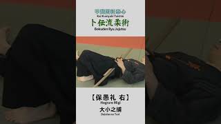 Bokuden Ryu Jujutsu【Hogrure Migi】Daisho no Tori 卜伝流柔術【保愚礼 右】大小之捕 shorts [upl. by Mic]