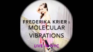 Frederika Krier Elephants in Love violin solo  Rockwood Music Hall [upl. by Aciruam]