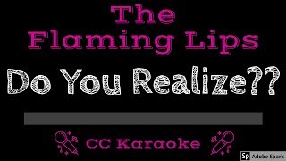 The Flaming Lips • Do You Realize CC Karaoke Instrumental Lyrics [upl. by Baiss]