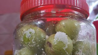 Nellikka uppilittathu  Salted Amla  Easy preservation method shorts vrindhavanamourhome [upl. by Blynn]