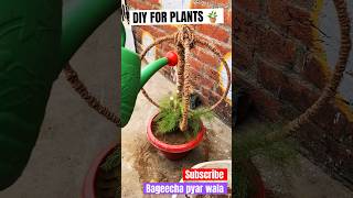 Best out of waste  DIY for plants Decoration🪴💁🏼‍♀️ पौधों को कैसे सजायें garden plant diy [upl. by Marylinda]