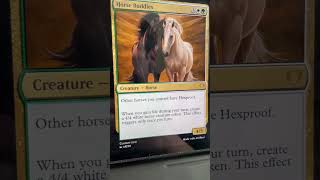 MTG New Custom Horse Card Video Coming Soon [upl. by Marwin]