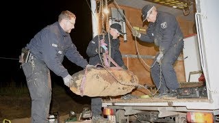 BerlinSchöneberg 250KilogrammWeltkriegsbombe am Innsbrucker Platz entschärft [upl. by Washburn]