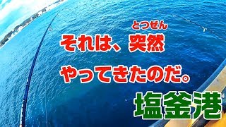 塩釜港 水中映像と釣りと魚料理 それは、突然やってきたのだ。 [upl. by Witty]