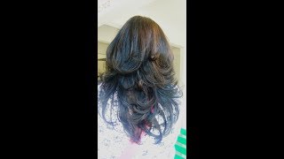 feather haircut with layers  How to cut feather cut [upl. by Ytinirt497]