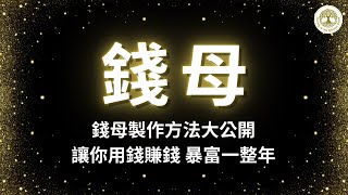 💰錢母製作方法大公開💰  讓你用錢賺錢，暴富一整年  888Hz財富能量音樂，重置金錢能量場，吸引更多財富和豐盛  錢母 用錢賺錢 888Hz 財富能量音樂 [upl. by Naima]