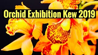 Orchid Exhibition Botanic Gardens Kew in London [upl. by Etta188]