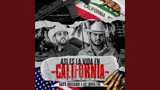 Asi Es La Vida En California En Vivo [upl. by Uok205]